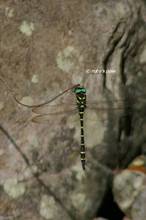 20120826_011.jpg
