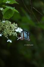 20120826_055.jpg