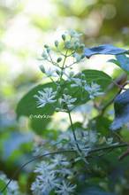 20120826_100.jpg