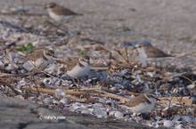 20120902_016.jpg