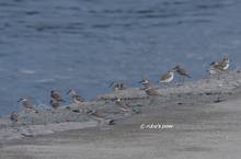 20120902_022.jpg