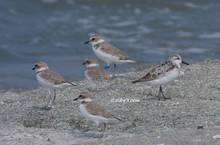 20120902_124.jpg