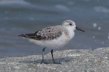 20120902_132.jpg