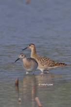 20120904_079.jpg