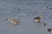 20120906_129.jpg