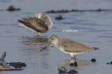 20120906_143.jpg