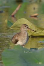 20120906_231.jpg
