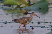 20120906_333.jpg
