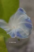 20120920_009.jpg
