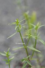 20120920_013.jpg