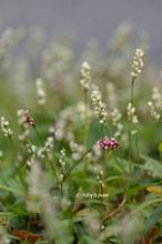 20120920_029.jpg