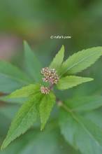 20120920_032.jpg