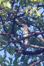 20120923_001.jpg