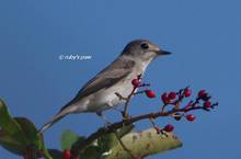 20120923_010.jpg