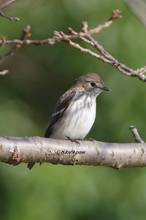 20120923_043.jpg