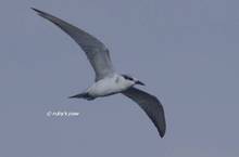 20121009_037.jpg
