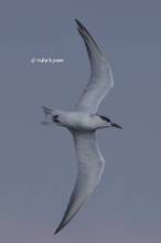 20121009_038.jpg
