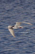 20121009_100.jpg