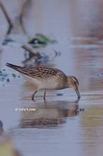20121009_215.jpg