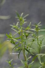 20121012_002.jpg
