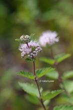 20121012_010.jpg