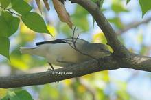20121022_018.jpg