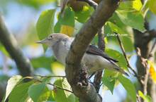20121022_024.jpg