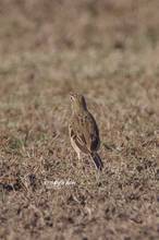20121024_071.jpg