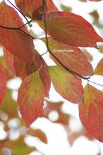 20121027_029.jpg