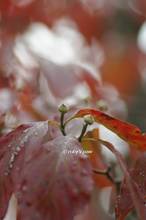 20121027_039.jpg