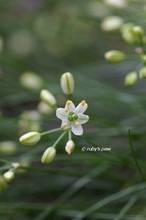 20121030_013.jpg