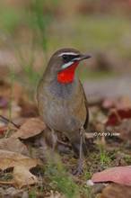 20121104_028.jpg
