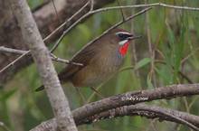 20121104_042.jpg