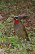 20121104_077.jpg