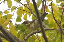 20121110_001.jpg