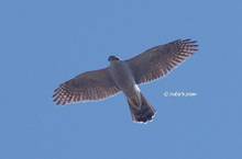 20121118_315.jpg