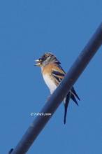 20121118_414.jpg