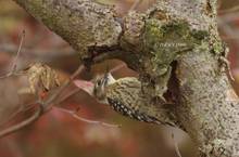 20121129_005.jpg