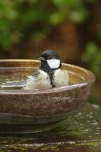 20121129_086.jpg