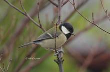 20121129_099.jpg