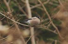 20130102_105.jpg