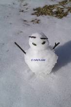 20130102_123.jpg