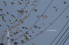 20130109_037.jpg