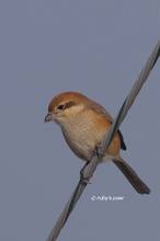 20130109_047.jpg