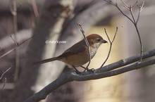 20130115_001.jpg