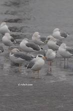 20130121_067.jpg