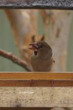 20130205_020.jpg