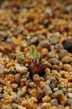 20130205_034.jpg