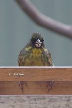 20130208_059.jpg