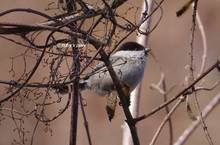 20130211_046.jpg